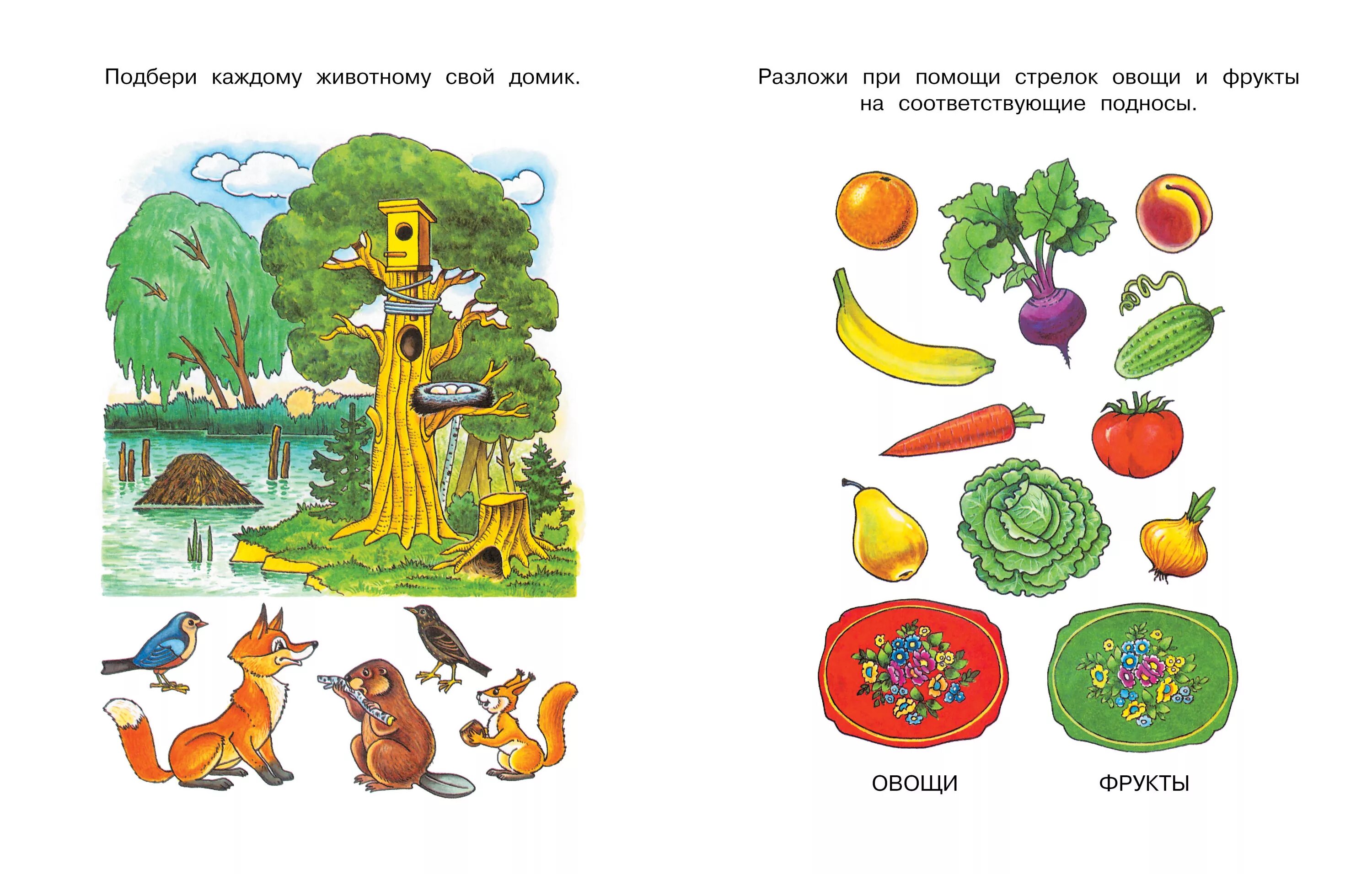 Работа по ознакомлению с окружающим миром. Ознакомление с окружающим миром в младшей группе. Окружающий мир для дошкольников. Карточки живая и неживая природа. Занятия по ознакомлению с окружающим.
