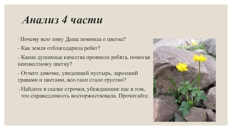 Сказки Платонова неизвестный цветок. Анализ рассказа неизвестный цветок. Платонов а. "неизвестный цветок". Рассказ неизвестный цветок. Отзыв на быль неизвестный цветок