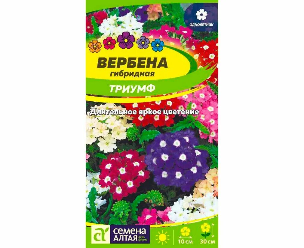 Вербена однолетняя. Вербена гибридная искушение смесь. Семена цветов вербена. Вербена гибридная гранатовая звезда. Вербена гибридная семена.