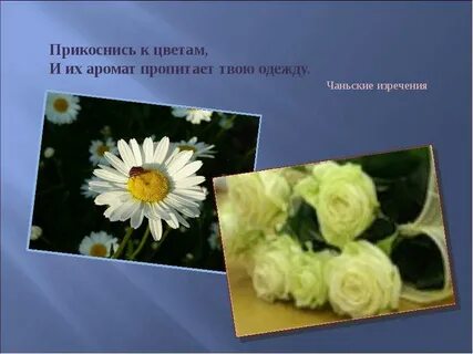 Прикоснись цветом