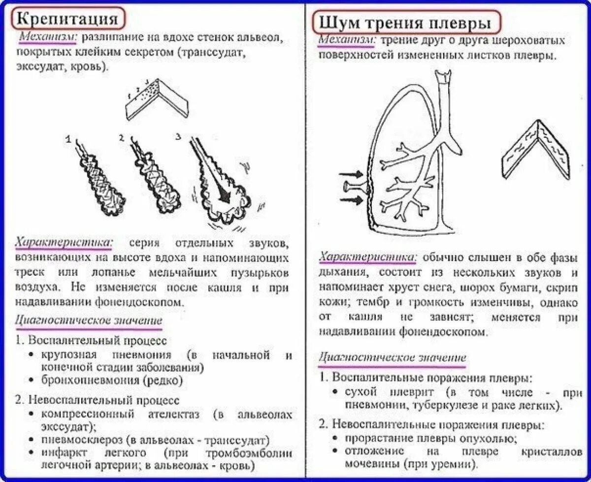 Шум на вдохе. Механизм шума трения плевры. Механизм образования шума трения плевры. Крепитация и шум трения плевры. Шум трения плевры механизм возникновения.