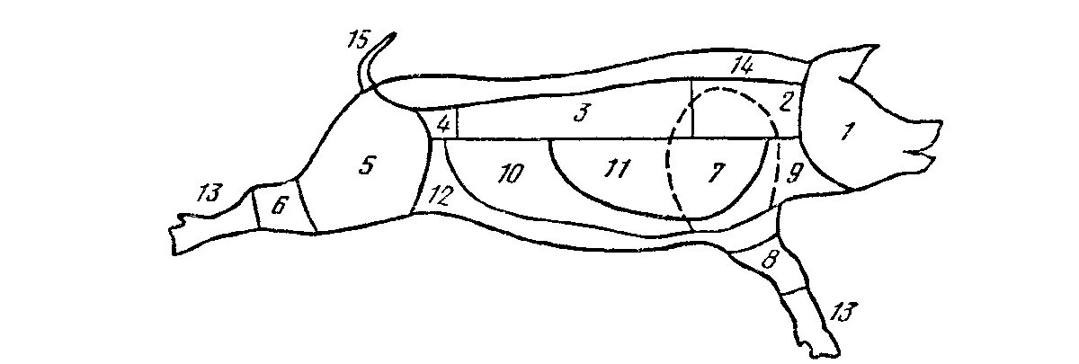5 свиных туш. Схема разрубки туши свинины. Схема обработки свинины. Схема разруба свиной туши. Схема разруба туши свинины.