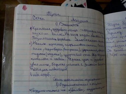 Как проявились характеры остапа и андрия