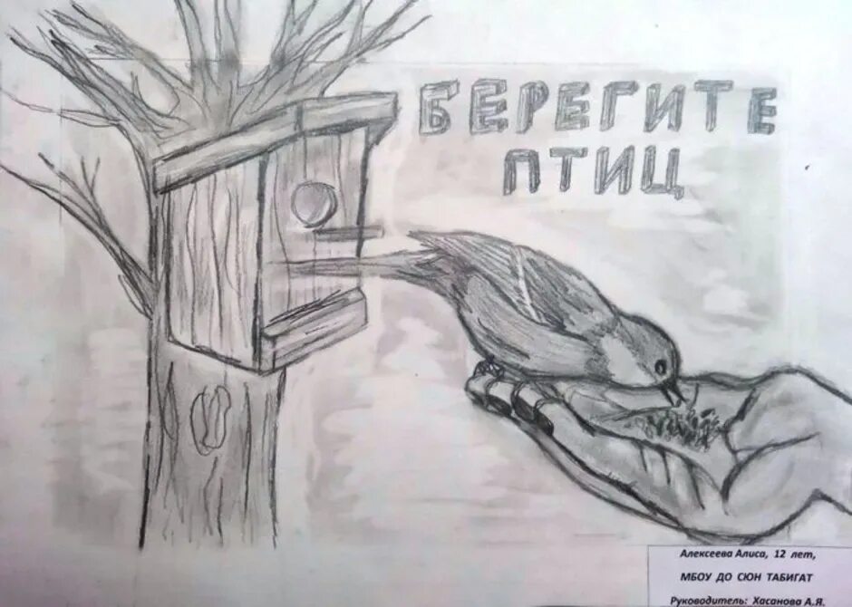 Плакат на тему берегите птиц. Берегите птиц рисунок. Плакат Защитим птиц.