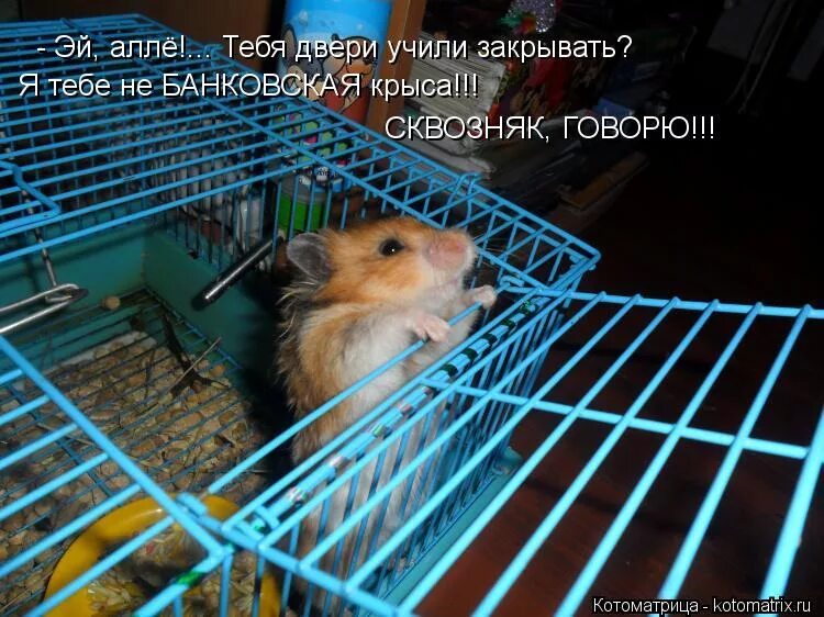Включи чуть не. Элли ди мем. Включи чуть не. Включи чуть не. Включи чуть не.