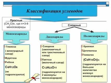 Свойства углеводов биология 9 класс