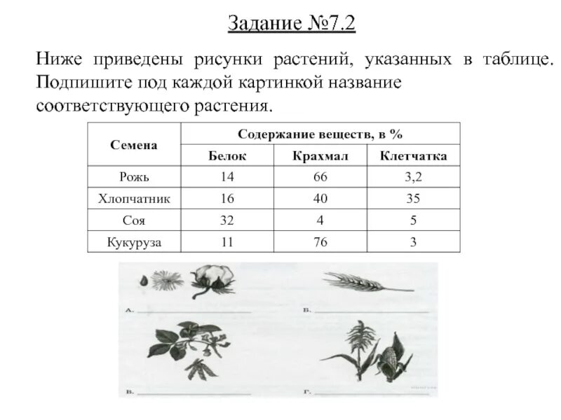 Ниже приведены изображения. ВПР 5 класс биология ответы 1.3. ВПР по биологии 5 класс задания. Задания по биологии 5 класс. Биология 5 класс задания.
