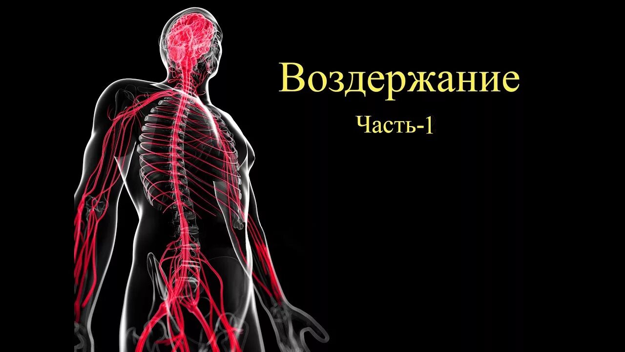 Воздержание. Сила воздержания. Мужское воздержание. Воздержание картинки.