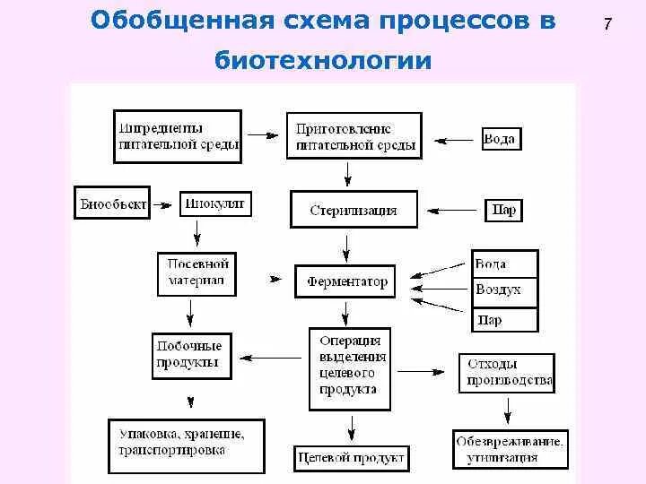 Технологическая схема основного производства. Принципиальная схема реализации биотехнологических процессов.. Принципиальная схема биотехнологического процесса. Схема производственного биотехнологического процесса. Общая технологическая схема биотехнологического производства.