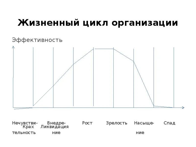 Графики жизненного цикла организации. Жизненный цикл организации. Жизненный цикл предприятия. График жизненного цикла предприятия.