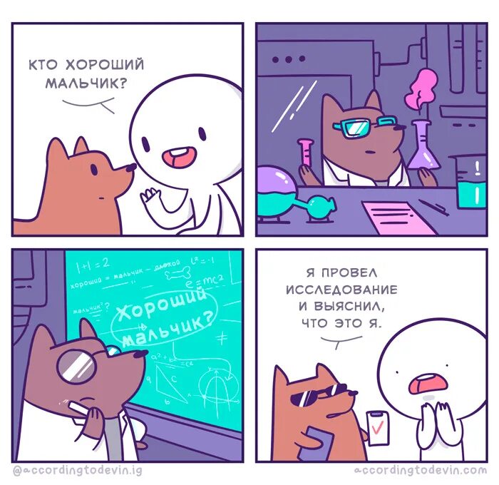 What is a good boy