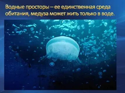 Приспособление медузы