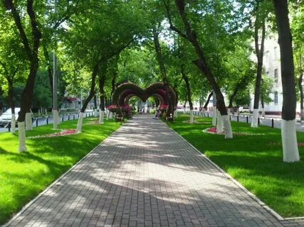 Парк сквер улица бульвар