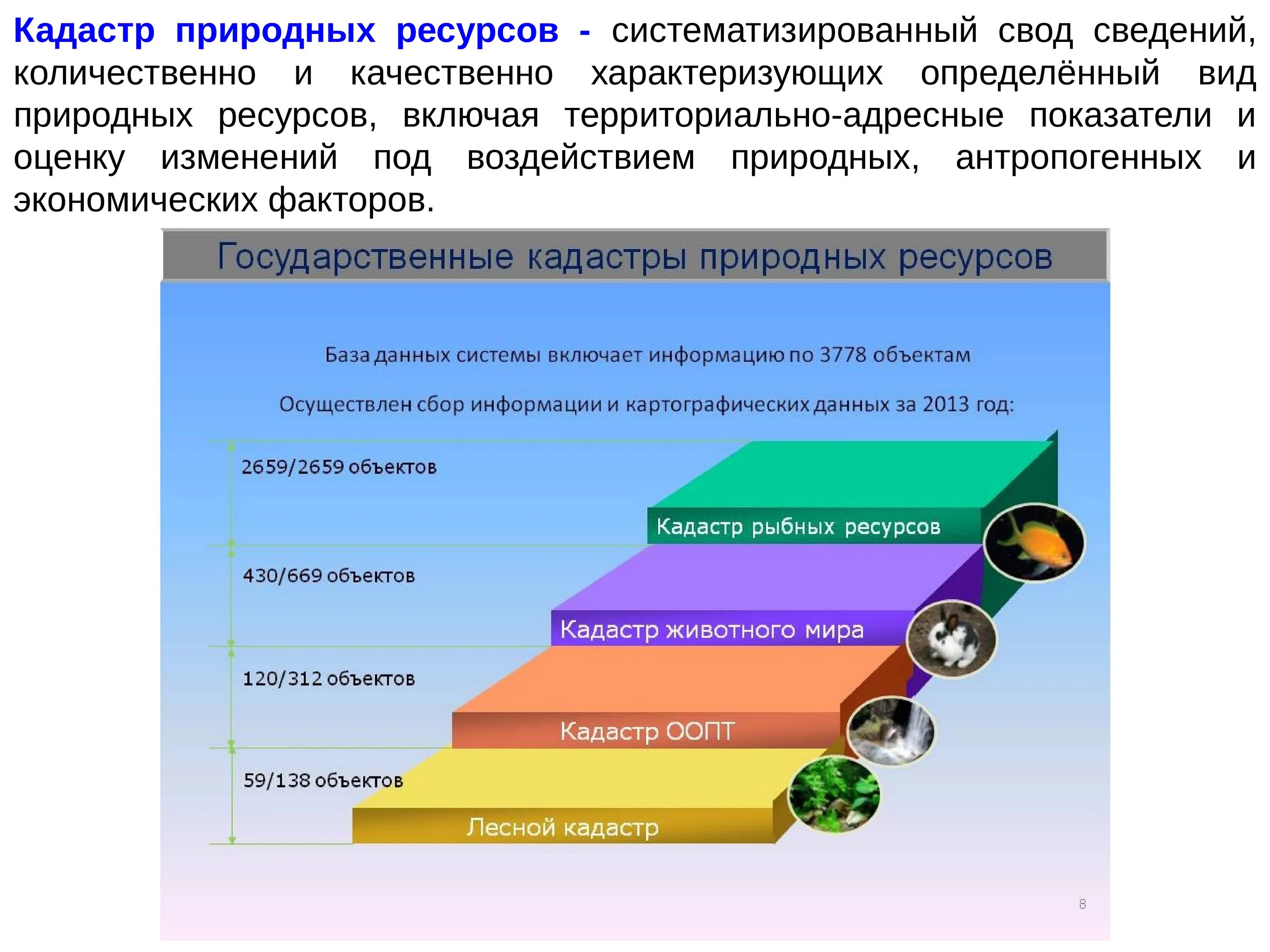 Объекты природного потенциала. Кадастры природных объектов и природных ресурсов. Государственные кадастры природных ресурсов. Виды кадастров природных ресурсов. Кадастр природного ресурса.