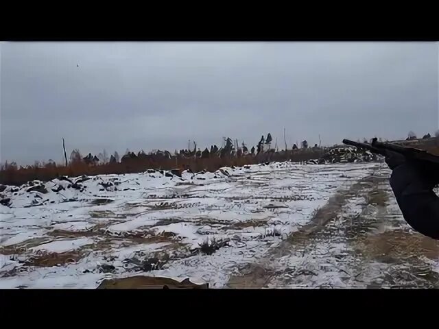 Сначала стреляйте