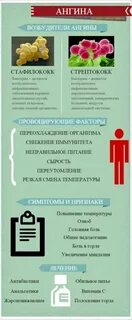 Профилактика ангины