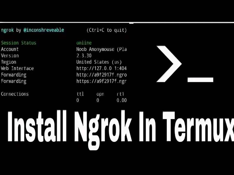 Termux как доксить. Termux. ngrok. ngrok download.