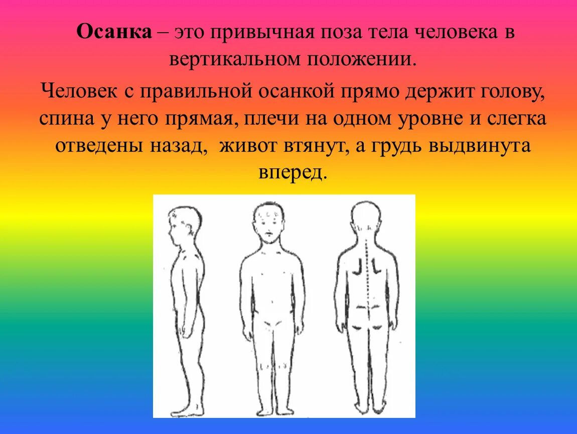 Вертикальное положение тела. Осанка человека. Вертикальное положение человека. Привычная поза тела человека в вертикальном положении. Человек в стоячем положении.