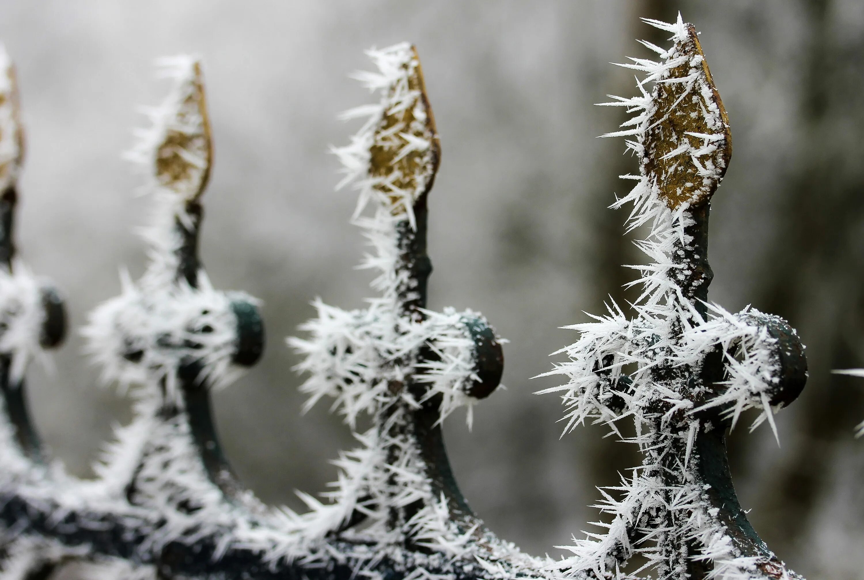 Freezing us. Зимнее настроение. Гололёдно изморозевые отложения это. Металл зимой. Снег на металле.