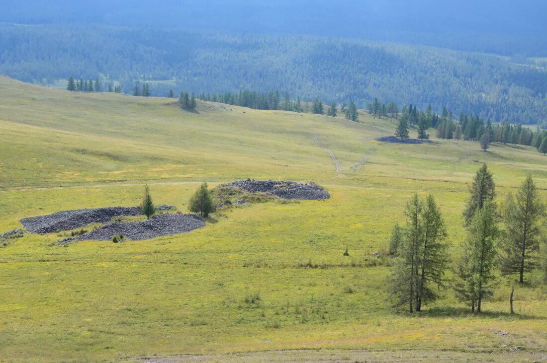 Пазырыкские могильники Алтая. Пазырыкские Курганы в Республике Алтай. Курганы горного Алтая. Пазырыкские Курганы Улаганского района.