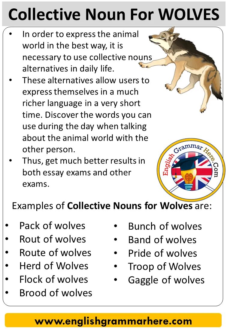 Волк на англ. Collective nouns. wolf на английском. collective nouns for animals. collective волк.