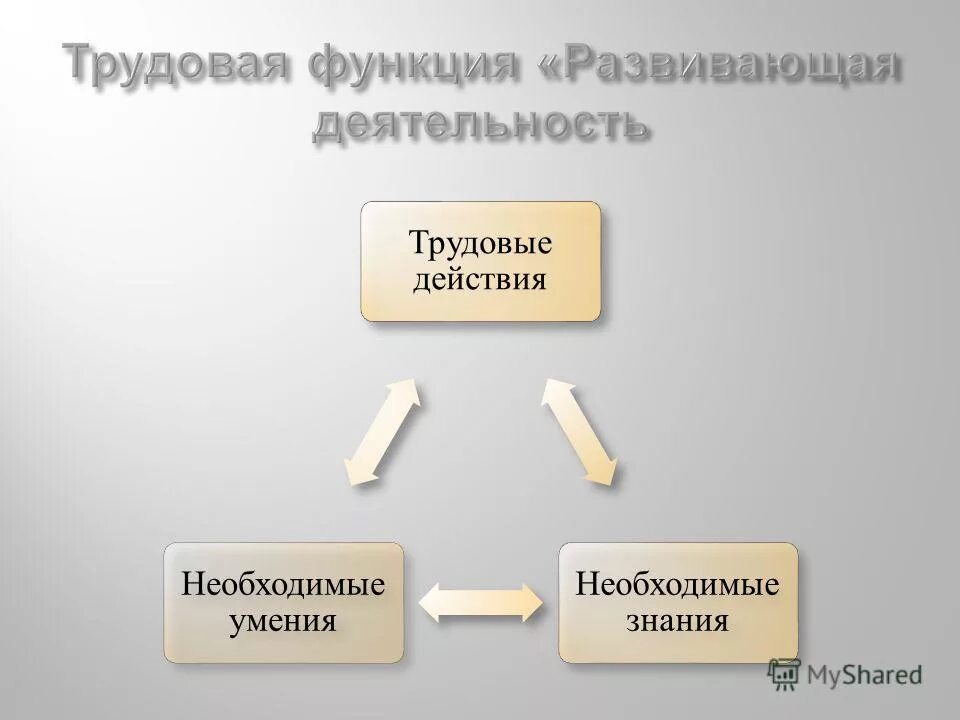 Трудовая функция развивающая деятельностью. Развивающая деятельность педагога. Структура профессиональног стандартов. Действия трудовой деятельности. Трудовая функция развивающая деятельностью.