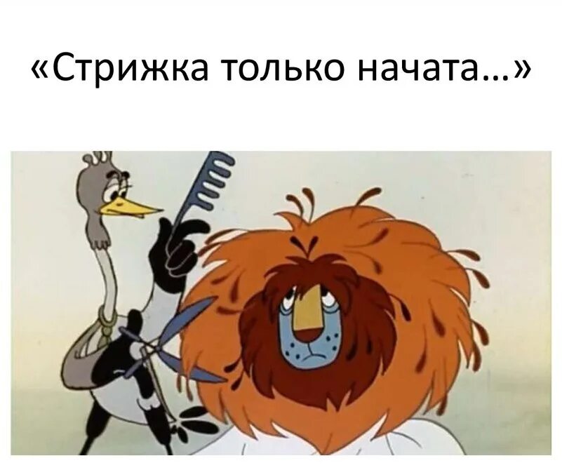 Стрижка волос. Девушка львица. Необычные стрижки. Стрижка волос лев. Тибетский мастиф груминг.