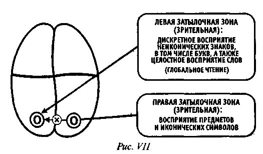 Нейропсихологическая дисграфия. Оптическая дисграфия и оптическая дислексия.. Мозговые механизмы речи в нейропсихологии. Механизмы дислексии. Нейропсихологические механизмы дисграфии.