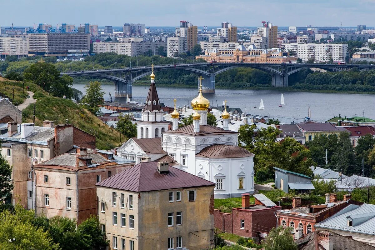 ковид новгороде. ковид новгороде. прививки от ковида. иммуноглобулин 50 мг/мл 100 мл. вакцинация гам-ковид-вак.