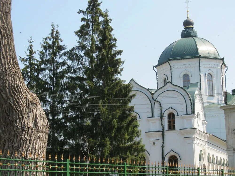 Толшевский Спасо-Преображенский монастырь. Толшевский Спасо-Преображенский монастырь в Воронеже. Толшевский монастырь Воронежская область. Преображенский монастырь Графское Воронеж. Сайт воронежского монастыря