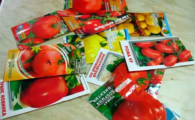 Семена в пакетиках томаты низкорослые. Пакетики семян томатов. Томат семена в пакетиках. Томат семена пакет. Семена семена помидоров под пленку
