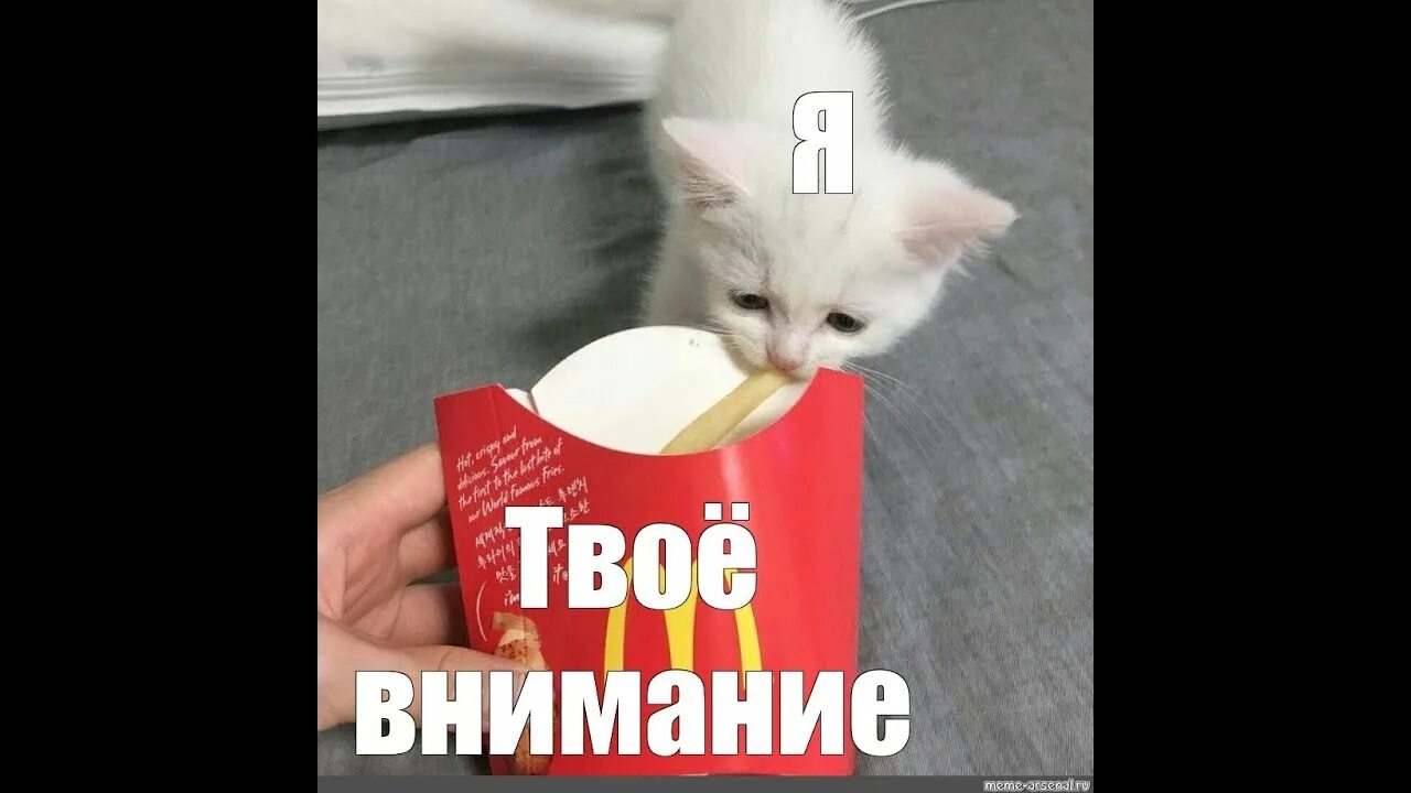 Ценю внимание. Картины минимализм. Цени мое внимание. Кто не ценил мое внимание. Мое внимание твое.