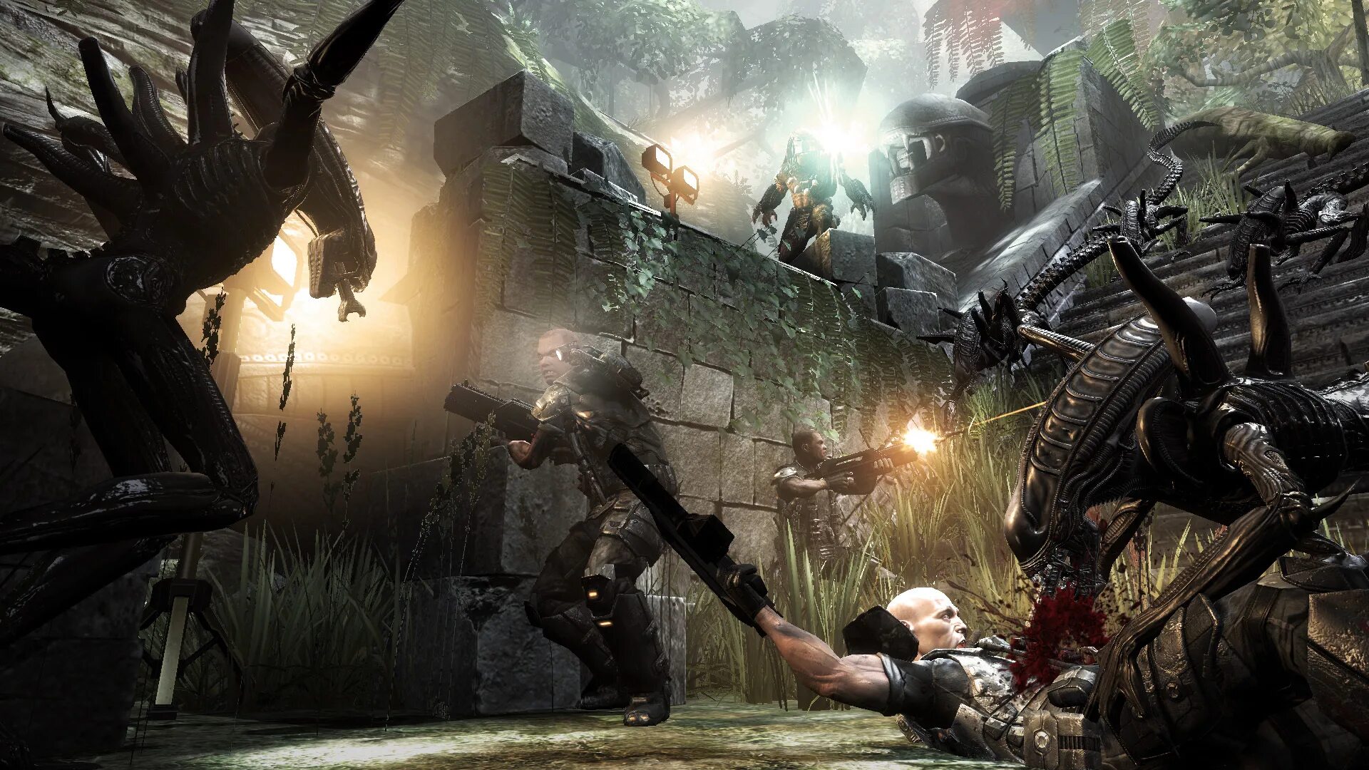 Играть predator. Aliens vs predator 2010 чужой. aliens vs predator xbox 360. aliens vs. predator (игра, 2010). игра алиенс предатор.