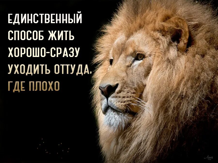 Хорошо единственный