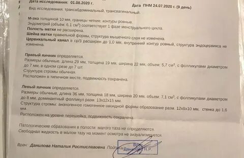 Размер фолликула для эко