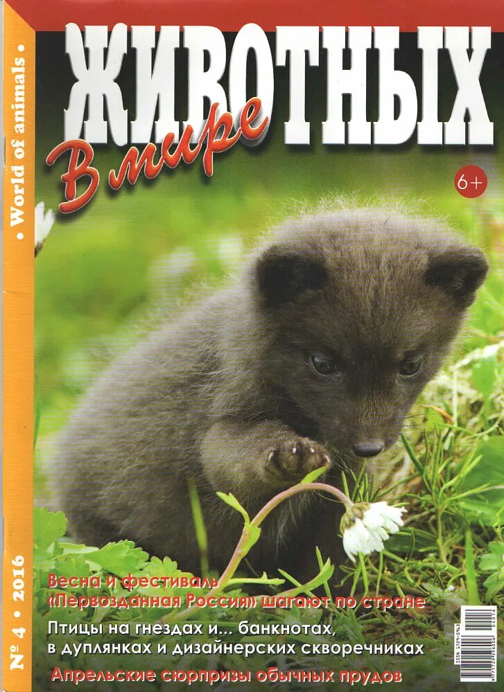 Журналы о природе и животных. Детский журнал в мире животных. Журнал о питомцах. Журнал про животных. Журнал про животных.
