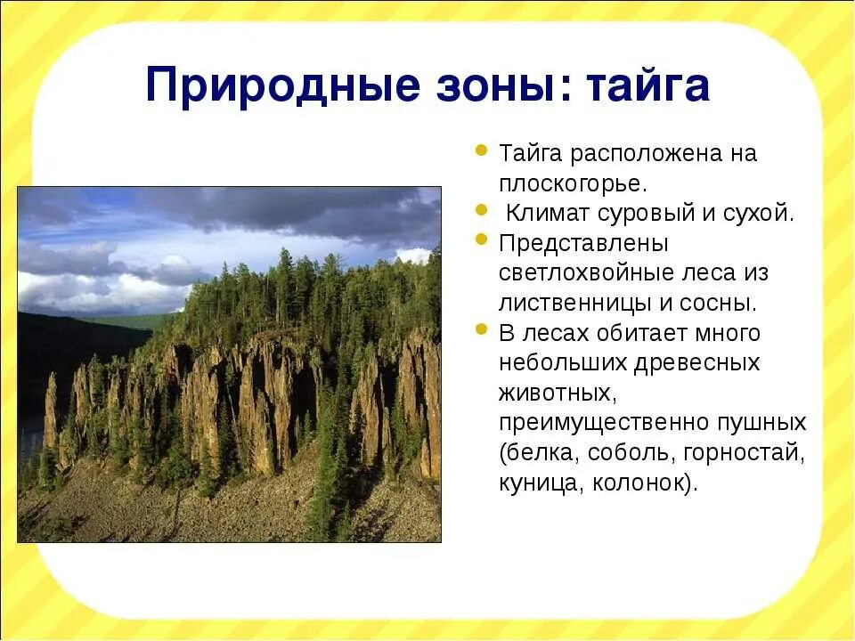 Тайга сообщение 4 класс по окружающему миру