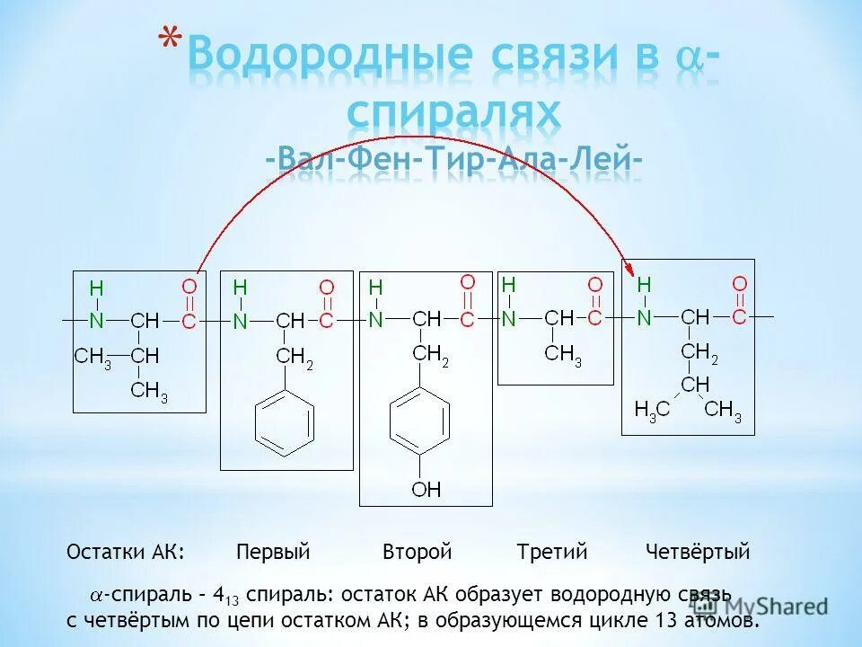 Кричалка водородная