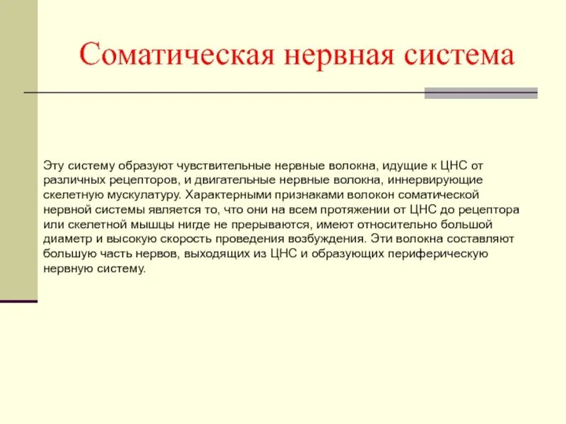 Типичный нервный. Соматические нервные волокна. Соматические волокна. Места выхода соматических нервных волокон.