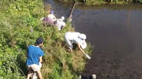 Прогноз погоды зай каратай