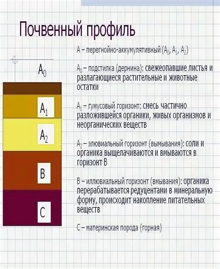 Тест почва 8 класс география с ответами. Почвенный профиль и почвенные горизонты. почвенные горизонты таблица. почвенный профиль таблица. почвенный профиль 8 класс.