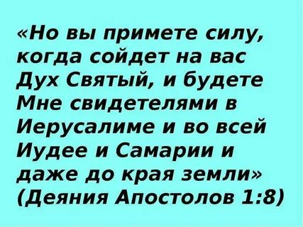 Сила примет сайт