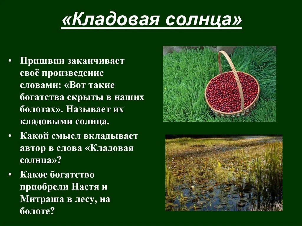 Блудово болото содержит огромные запасы горючего ответы. Кладовая природы Пришвина. Кладовая солнца. Произведение кладовая солнца. Смысл произведения кладовая солнца.