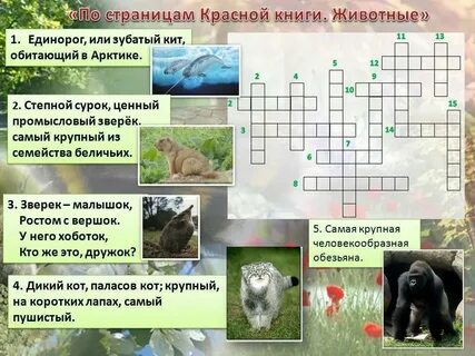 Растение тропиков сканворд