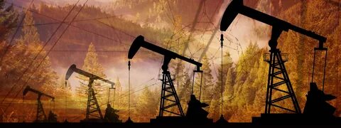 нефть лес