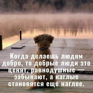 Большому сожалению ни