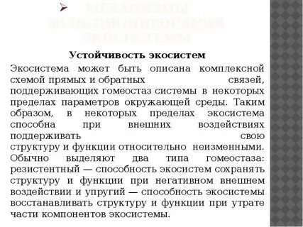 Устойчивая экосистема