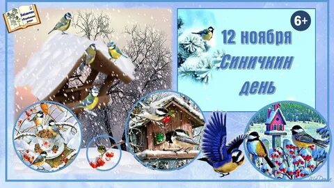 День синички 12 ноября