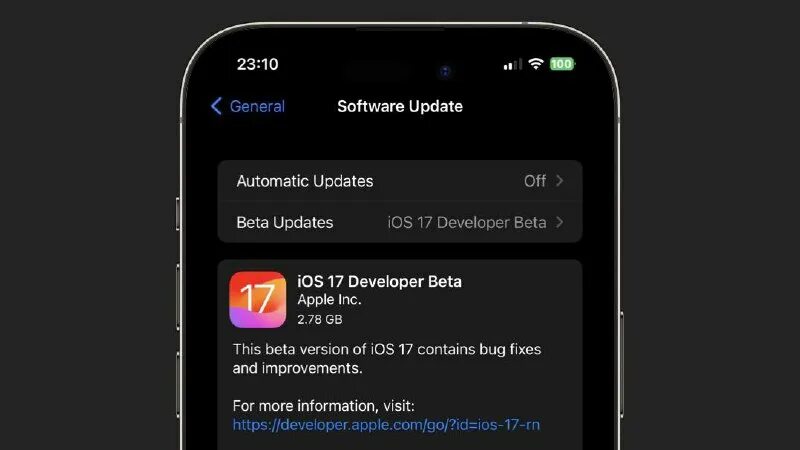 Режим разработчика айфон ios 17. Режим разработчика айфон ios 17