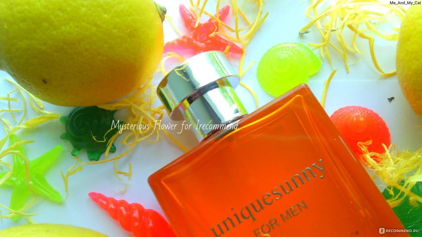 Unique sunny. Туалетная вода для мужчин unique Sunny (Юник Санни). Dilis la vie unique Sunny men 100 ml. Туалетная вода для мужчин "unique Sunny" 100мл Dilis /12/ m. Dilis unique Sunny туалетная вода аналог.